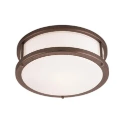 Conga 12 Inch 1 Light Flush Mount By Access Lighting 9 Conga 12 Inch 1 Light Flush Mount By Access Lighting -Light Bulbs Sales Store Access Lighting 50079 BRZ