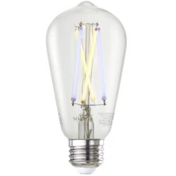 8 Watt 2200-6500K ST18 LED Light Bulb By Bulbrite