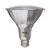Dimmable 15 Watt 3000K PAR38 LED Light Bulb By Bulbrite