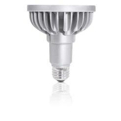 Dimmable 13.8 Watt 2700K LED Light Bulb By Bulbrite