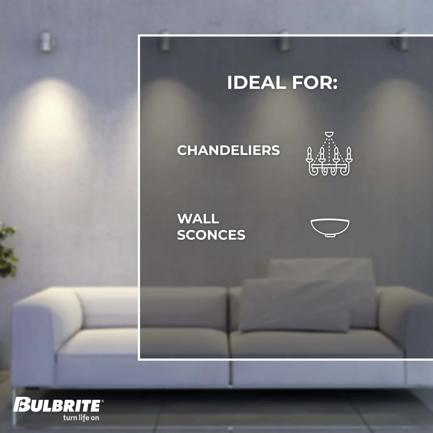 Dimmable 3 Watt 2100K T9 LED Light Bulb 2 Pack By Bulbrite 11 Dimmable 3 Watt 2100K T9 LED Light Bulb 2 Pack By Bulbrite - Image 9