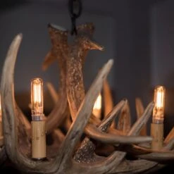 2.5 Watt T6 LED 2700K Light Bulb 4 Pack By Bulbrite -Light Bulbs Sales Store Bulbrite 861574 LS