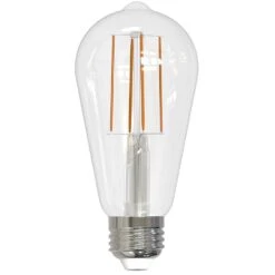 Dimmable 7 Watt 3000K ST18 LED Light Bulb 8 Pack By Bulbrite