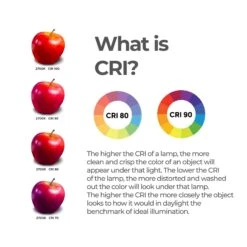 9 Watt 3000K A19 LED Light Bulb 8 Pack By Bulbrite 15 9 Watt 3000K A19 LED Light Bulb 8 Pack By Bulbrite -Light Bulbs Sales Store Bulbrite 862714 Info5