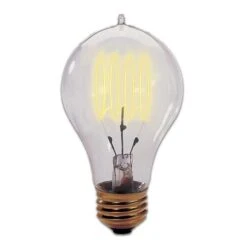 25 Watt A19 Vintage Light Bulb By Bulbrite