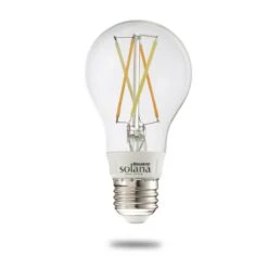 5.5 Watt 2200K A19 LED Light Bulb By Bulbrite