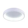 Arenal 24 Inch 1 Light LED Flush Mount By CWI Lighting