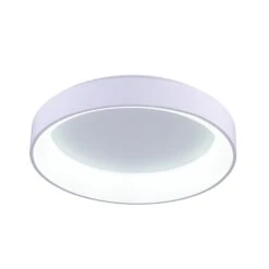 Arenal 24 Inch 1 Light LED Flush Mount By CWI Lighting