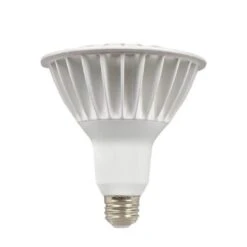 Dimmable 16 Watt 3000K PAR38 LED Light Bulb By Maxim Lighting