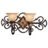 Zaragoza 23 Inch 2 Light Bath Vanity Light By Metropolitan Lighting