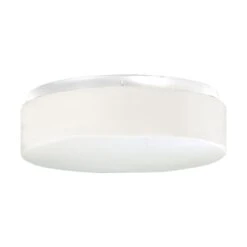 Hard-Nox 11 Inch 2 Light Flush Mount By Progress Lighting