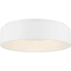 Orbit 23 Inch 1 Light LED Flush Mount By Satco