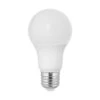9 Watt 5000K A19 LED Light Bulb By Satco 2 9 Watt 5000K A19 LED Light Bulb By Satco -Light Bulbs Sales Store Satco S11401