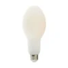 30 Watt 5000K LED Light Bulb By Satco