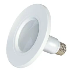 12 Watt 2700K LED Light Bulb By Satco